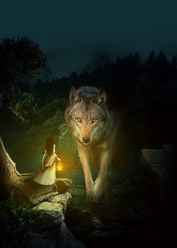 The Wolf