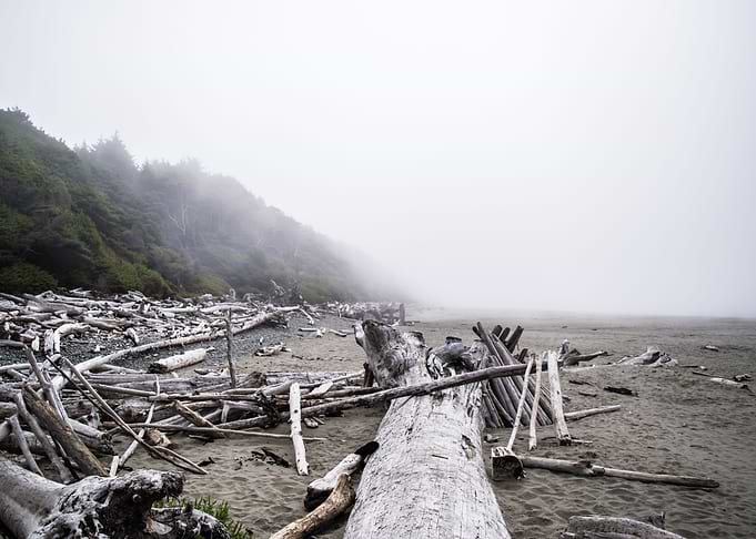 Ocean Fog