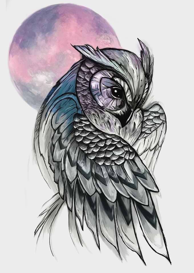 Moonlight Owl