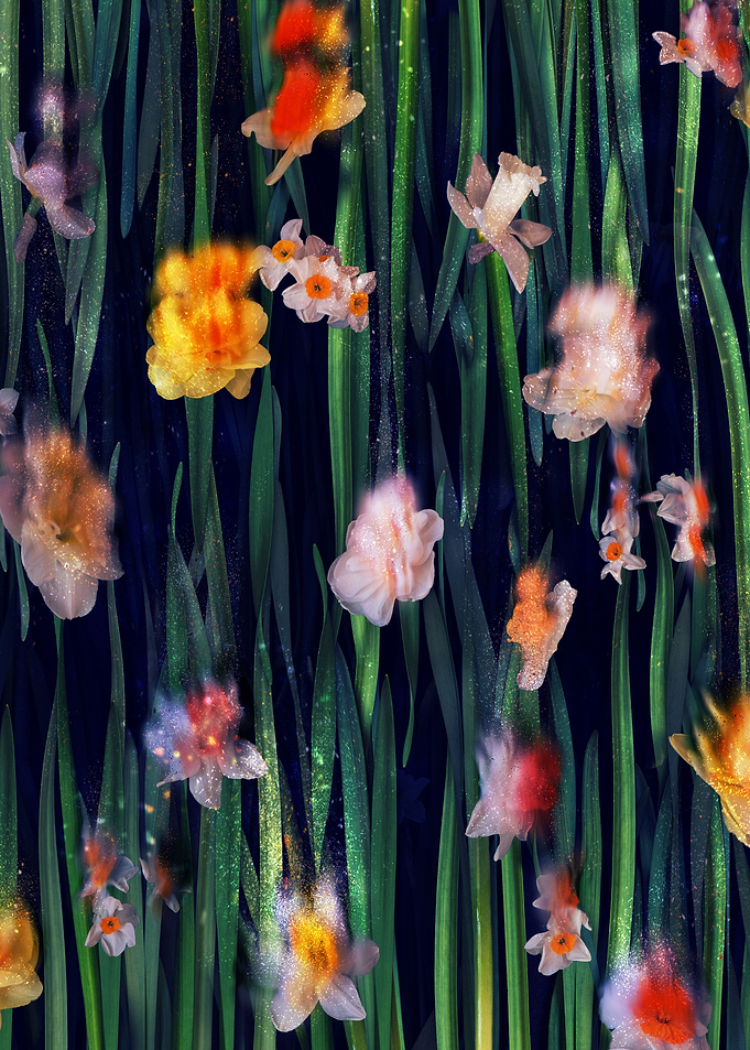Narcissus Pattern