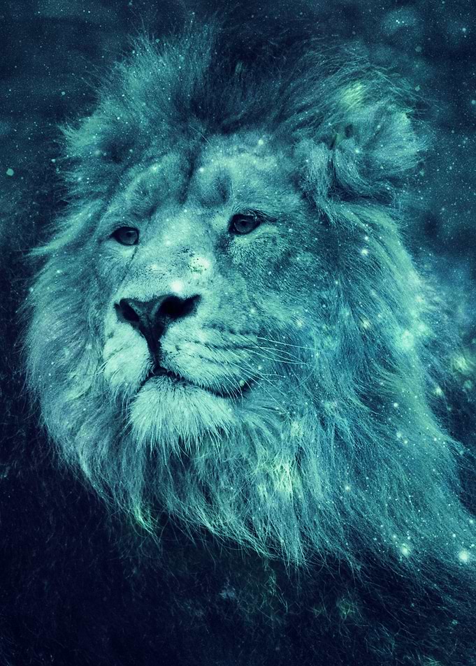 Leo Lion Pensive Turquoise Blue