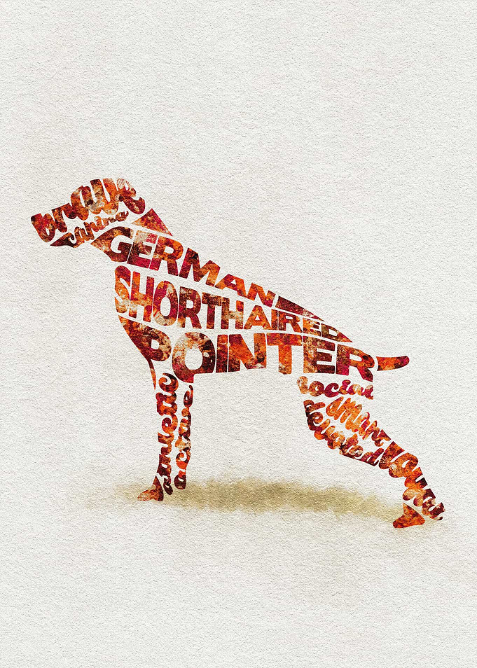 German Shorthaired Pointer Typographic Painting