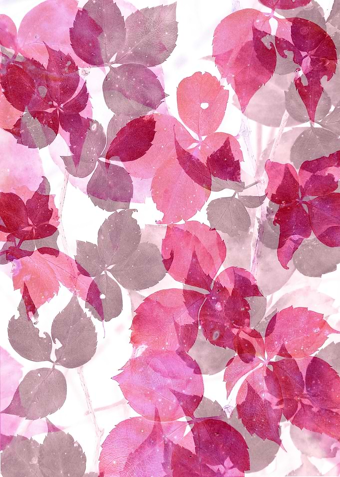 Autumn Red