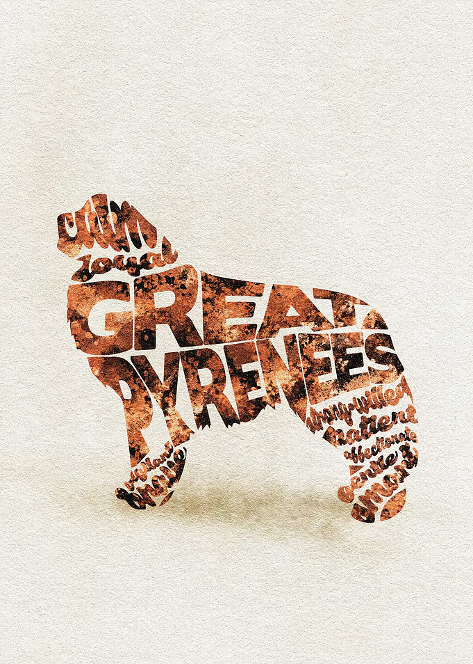 Great Pyrenees Dog Typo