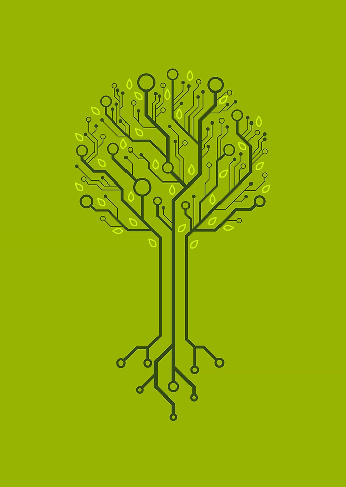 Circuit of Nature