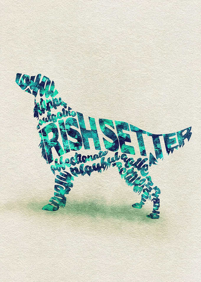 Irish Setter Dog Typo