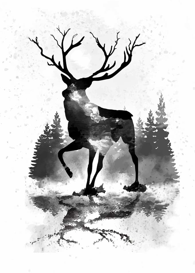 King of the forest