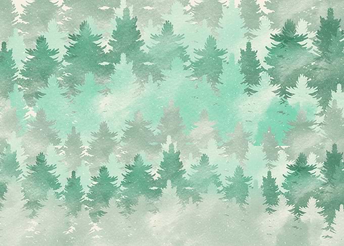 meet you at the woods
