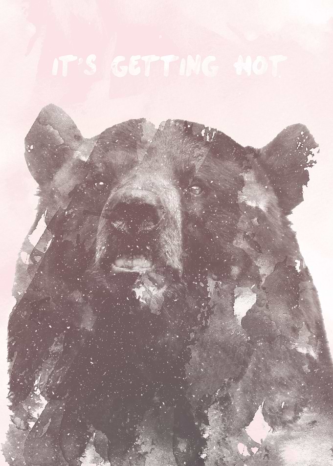 IT'S GETTING HOT says the Bear