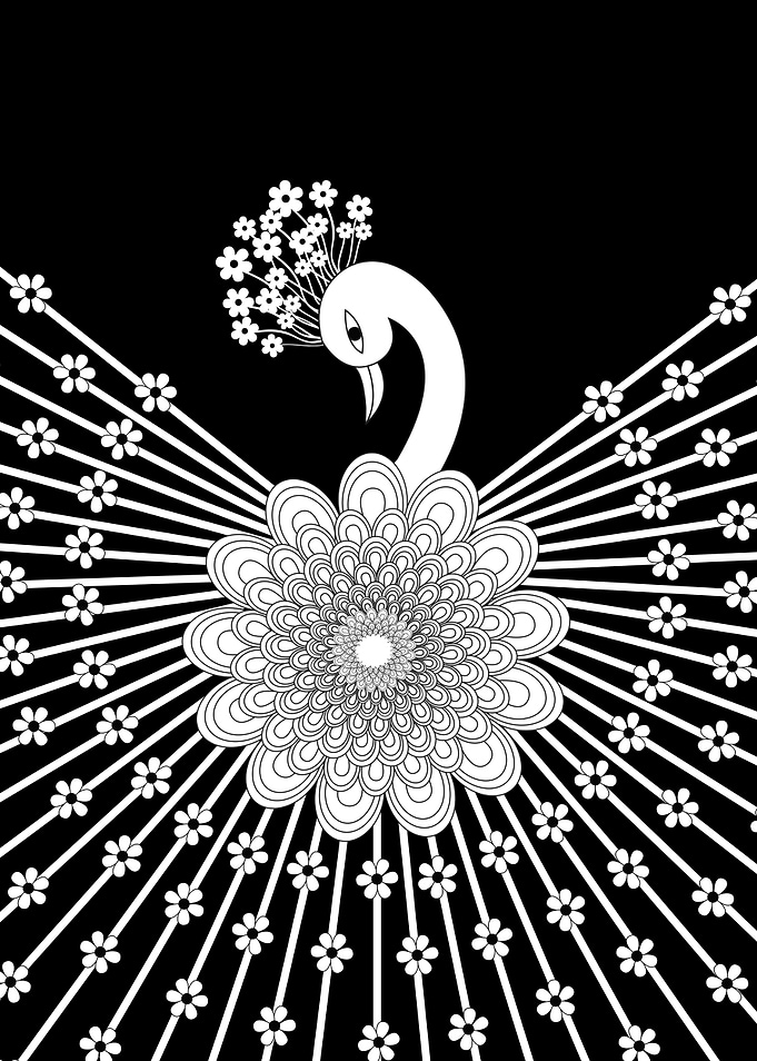 Peacock A