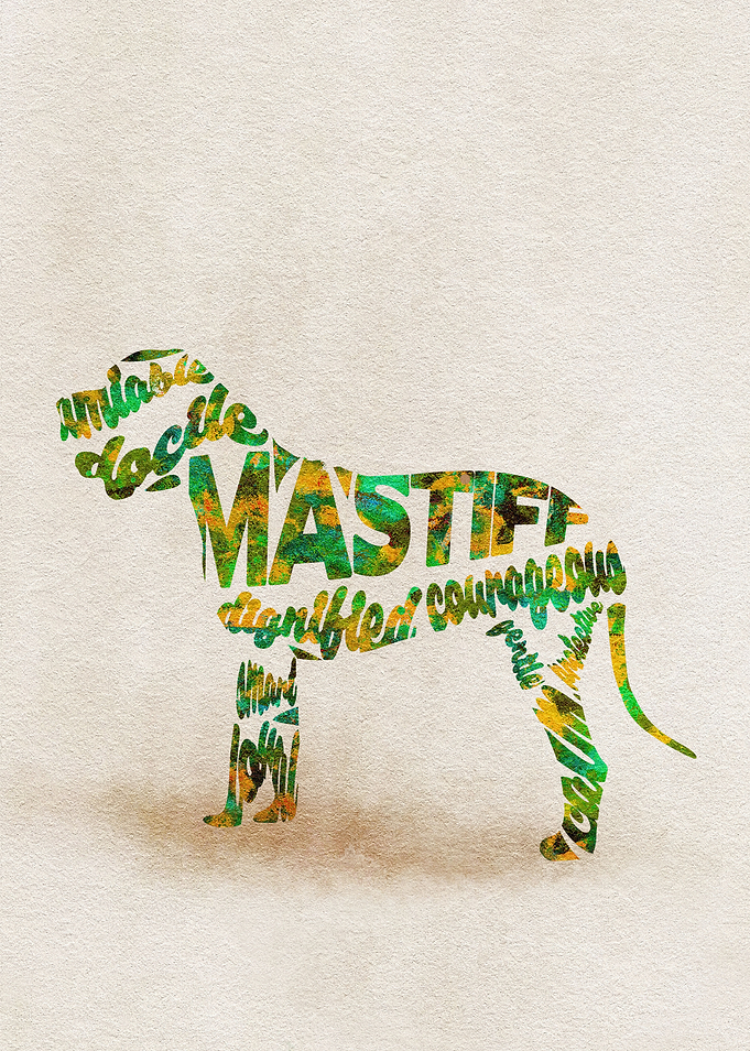 English Mastiff Dog Typo