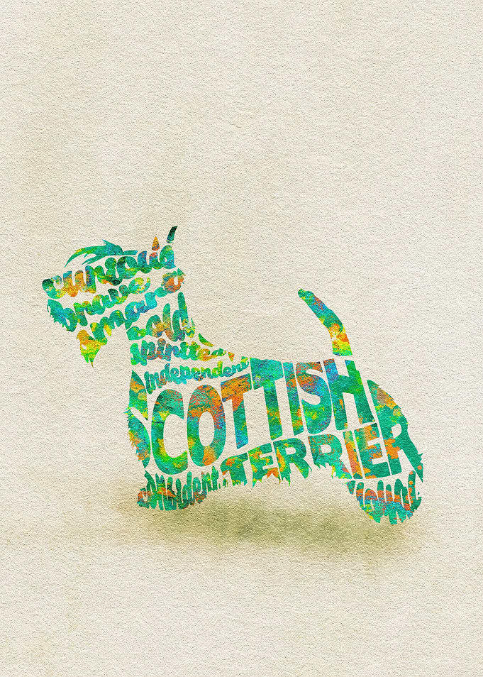 Scottish Terrier Dog Typo