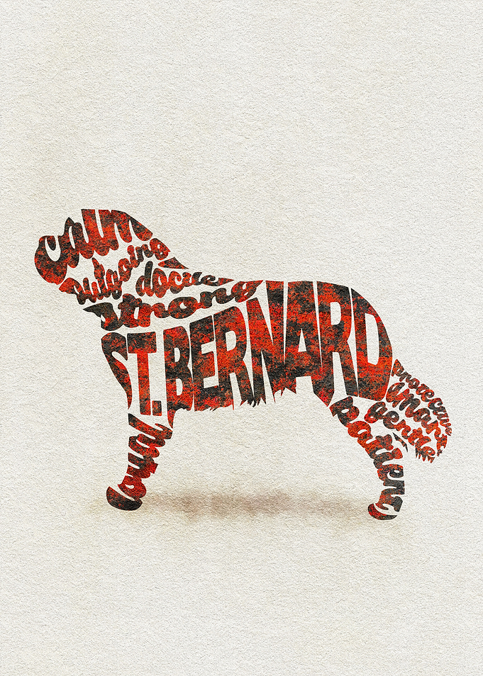 St. Bernard Dog Typography