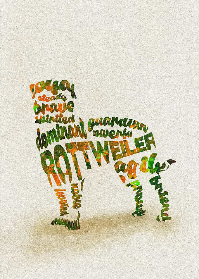 Rottweiler (Rottie) Dog