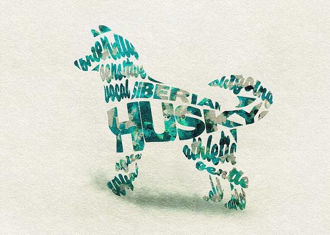 Siberian Husky Dog Typo