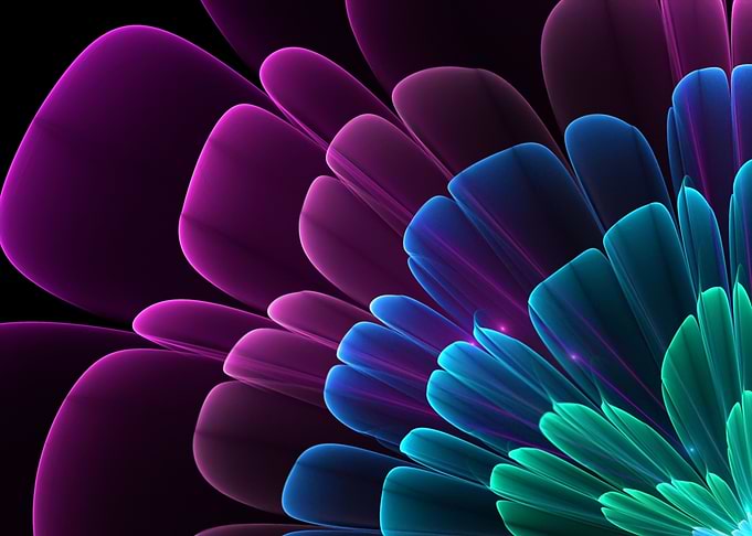 Fractal Flower
