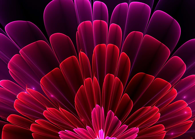 Fractal Pellucid Aster Flower