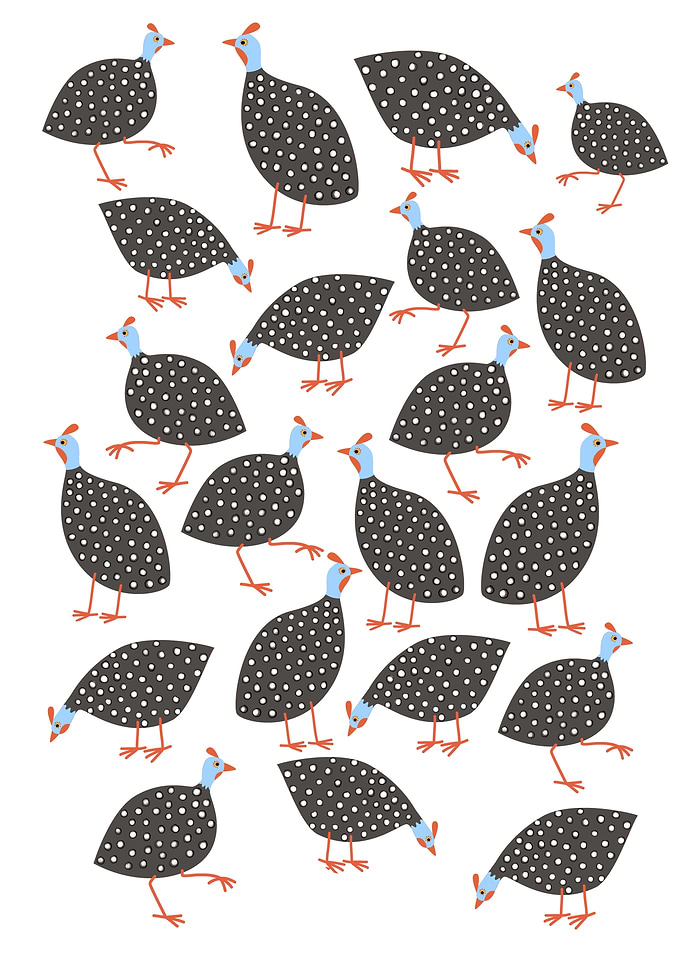 Guinea Hens