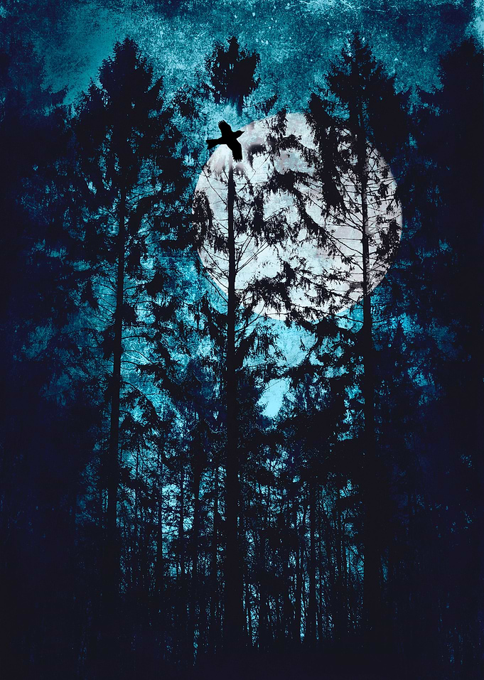 moon through trees