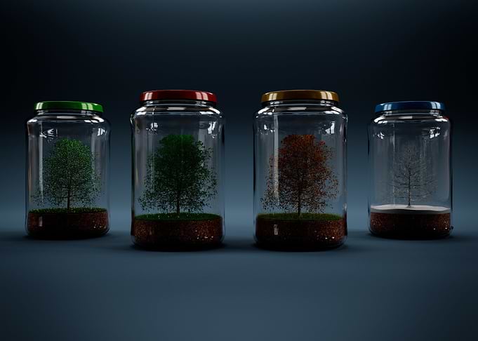 Seasons