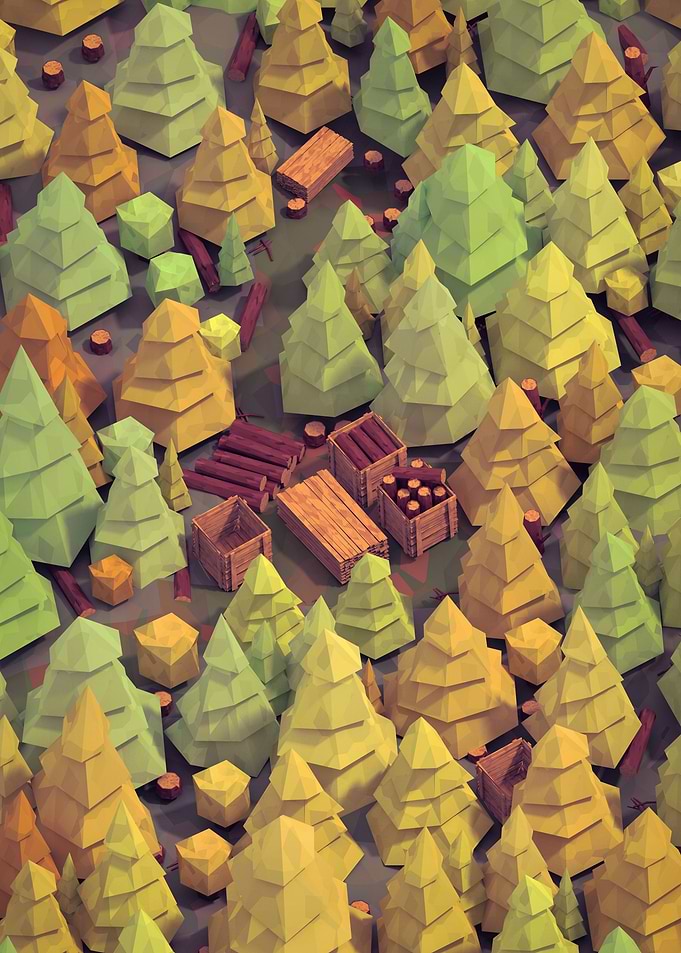 Autumn Forest