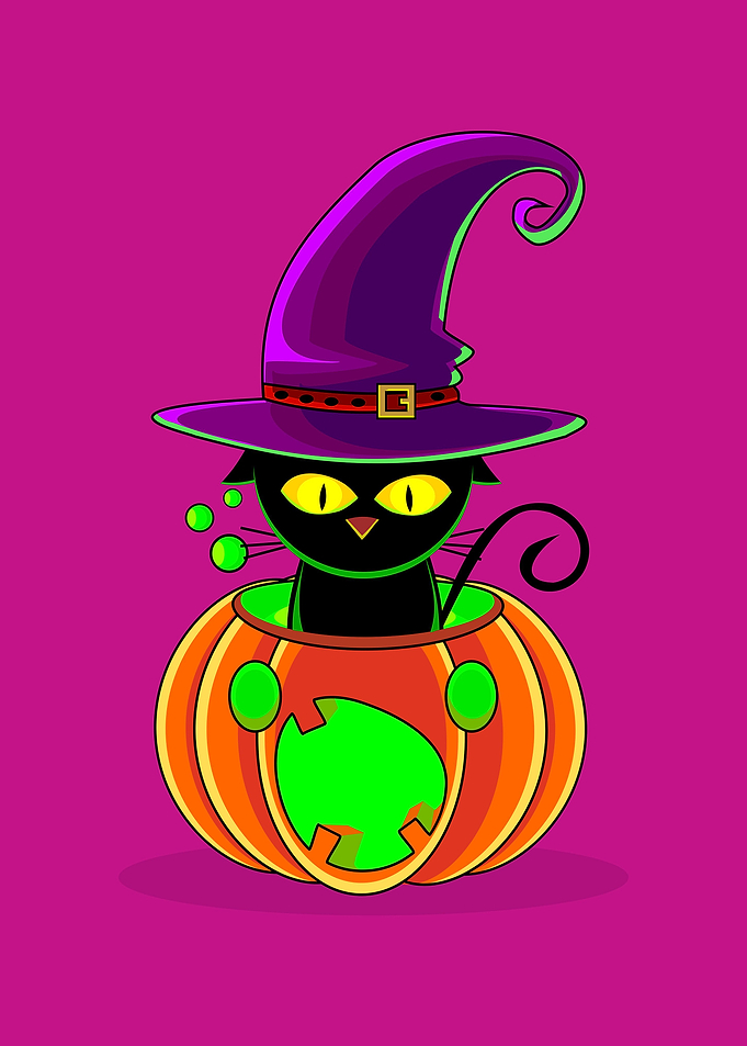 Halloween Cat