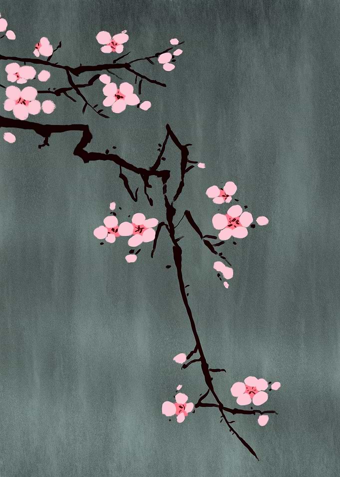 Cherry Blossom 01