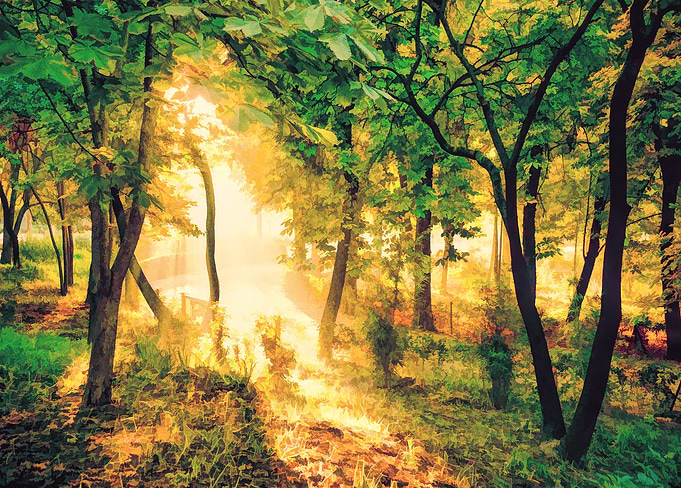 Forest Oil painting
