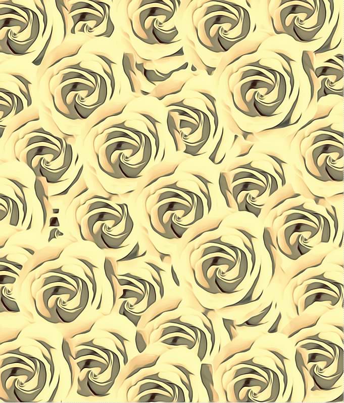 blooming yellow rose pattern texture abstract back