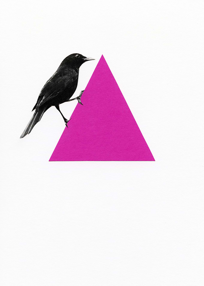 Crow