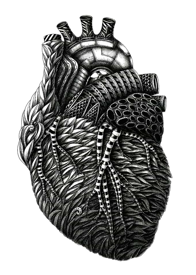 heArt