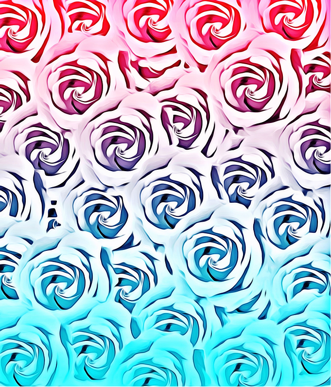 blooming rose pattern texture abstract background