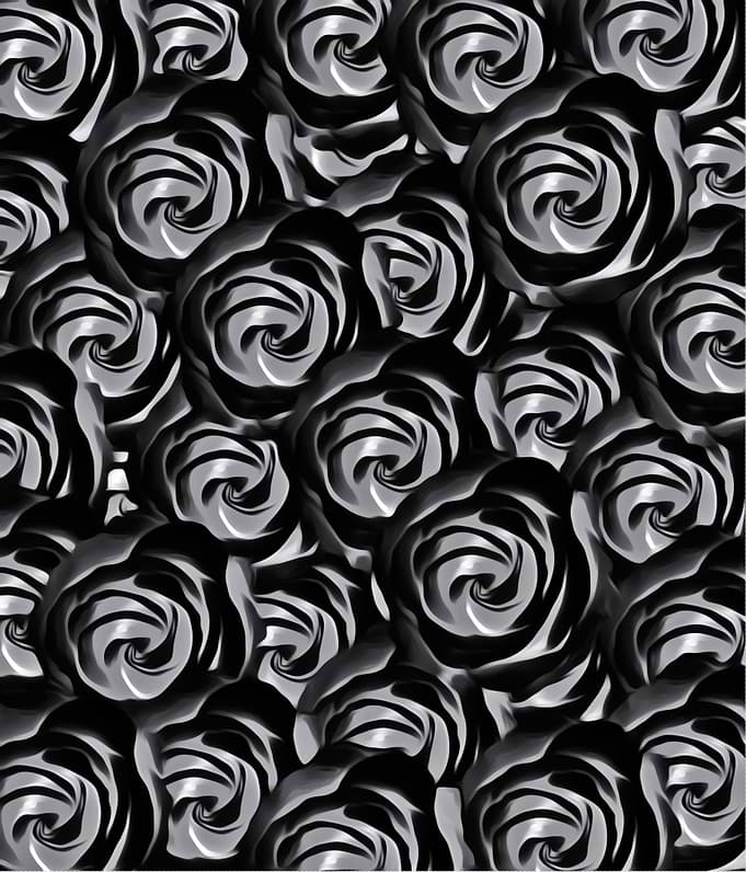 blooming rose pattern texture abstract background