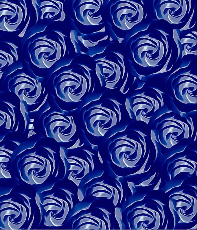 blooming blue rose pattern texture abstract backgr