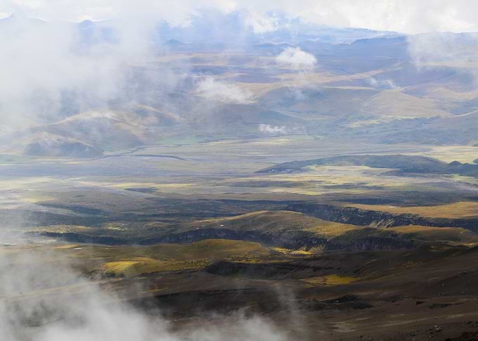 Misty Views