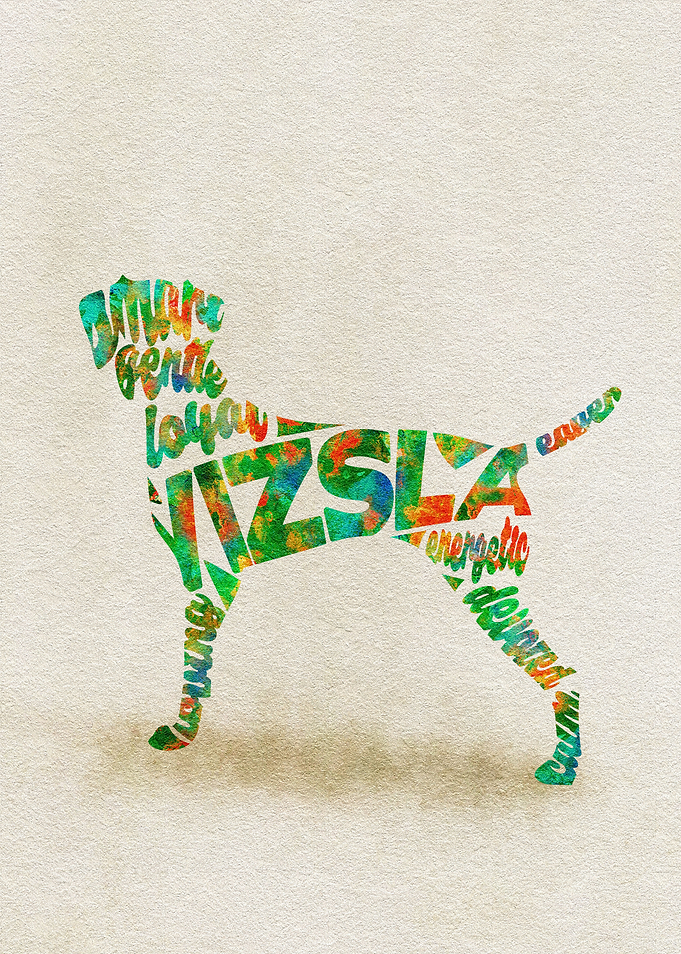 Hungarian Vizsla Dog Typo
