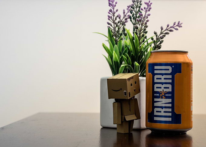 Danbo's Scottish Discovery