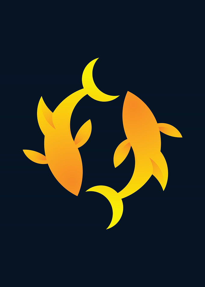 Yellow Fish