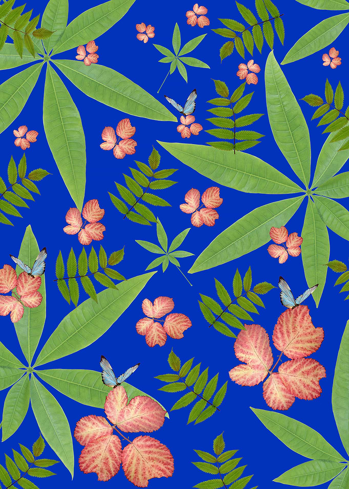 Leaves on Blue