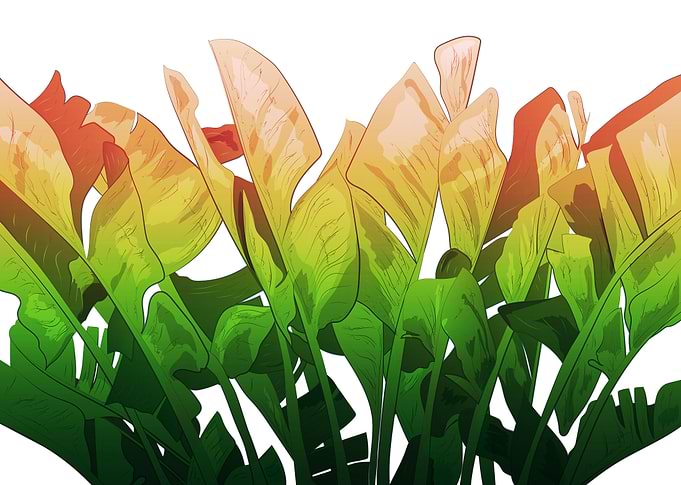Leaves of Summer