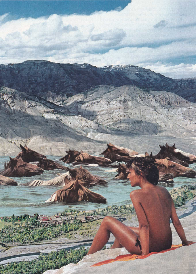 Flood [collage]