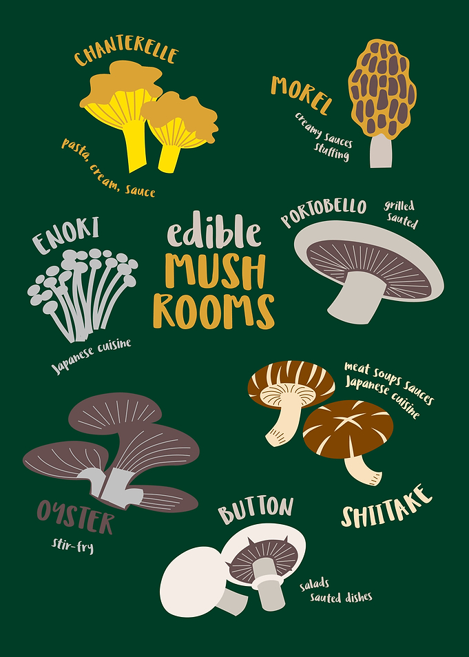 Edible Mushrooms