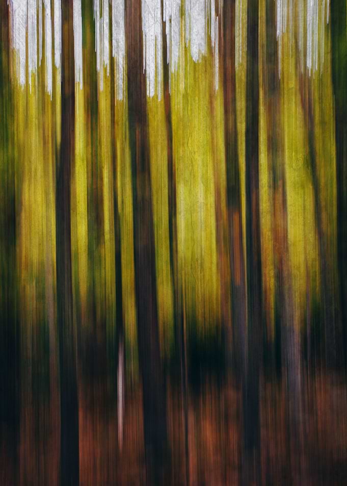 Motion landscape