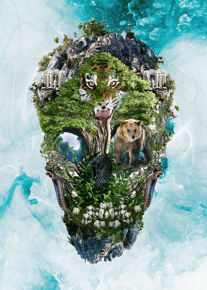 Skull Nature III
