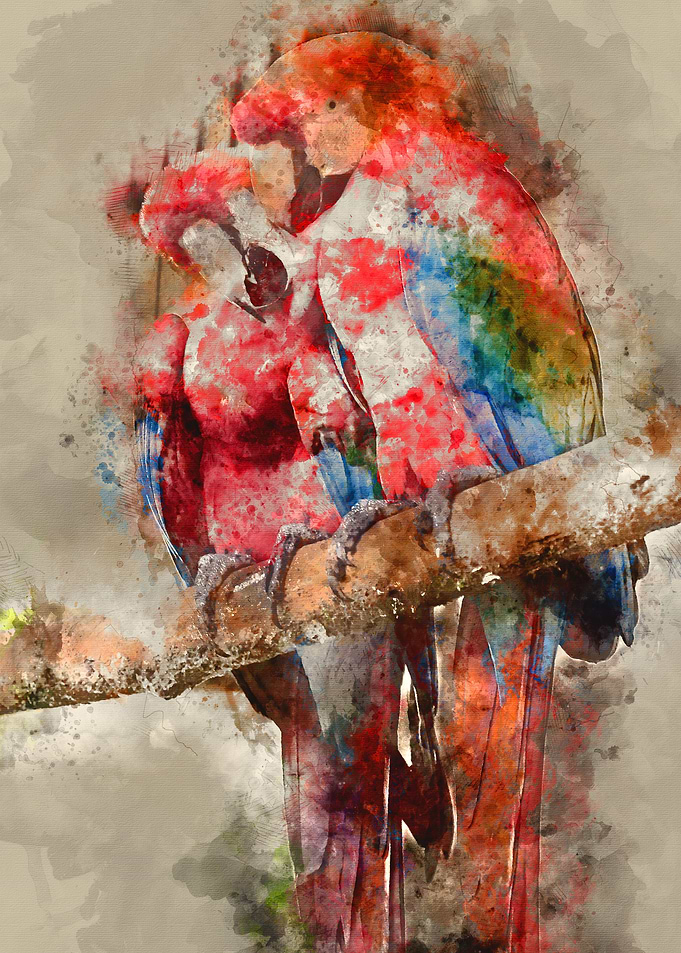 watercolor / parrot / paint