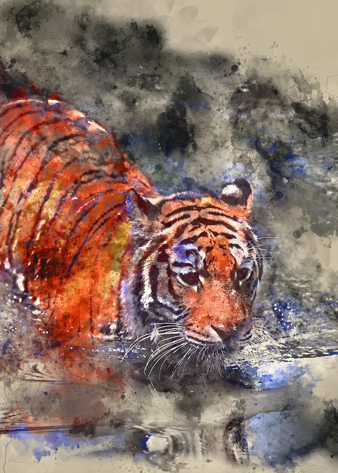 watercolor / tiger / paint