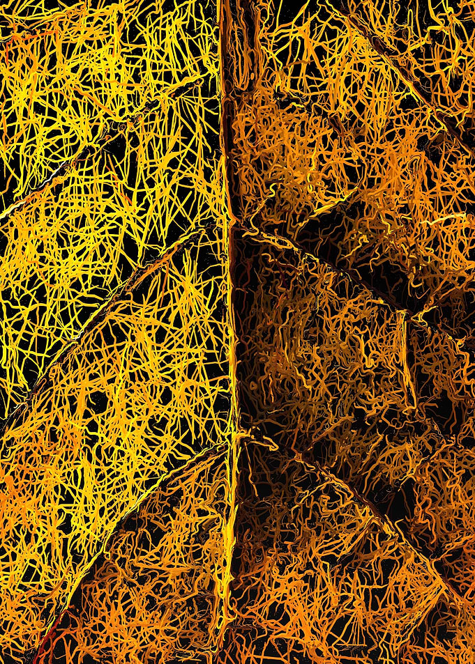psychedelic yellow leaf texture abstract
