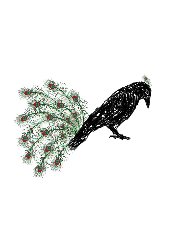 Funny crow