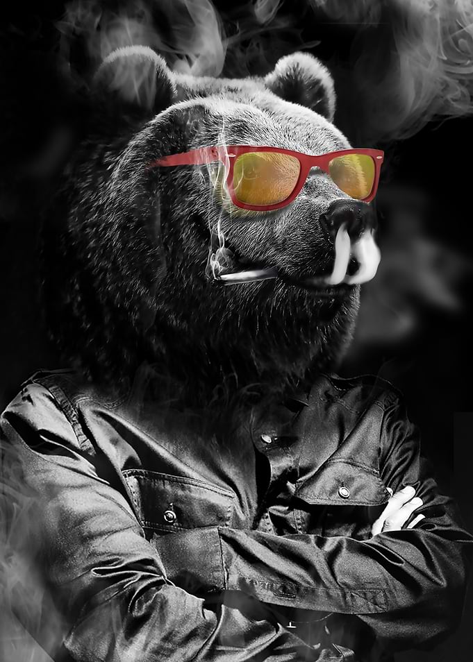 chilling bear