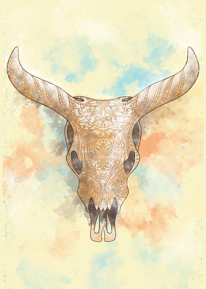 the caw skull